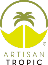 Artisan tropic Plantain Strips 4.5oz.